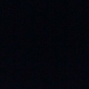 Meet your Posher, Brodee